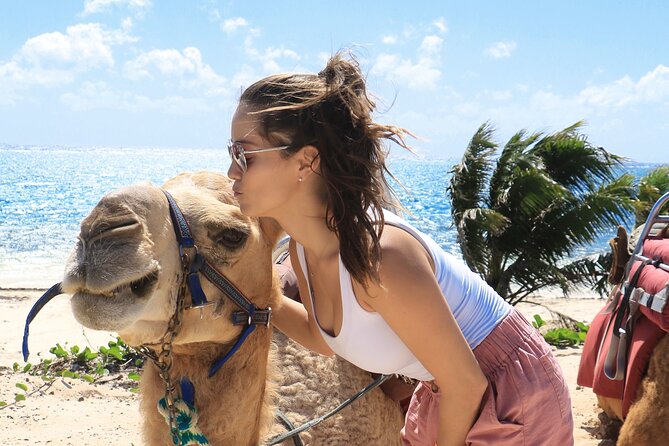 Camel Expedition and Beach Club In Riviera Maya - The real cost at $144 per person