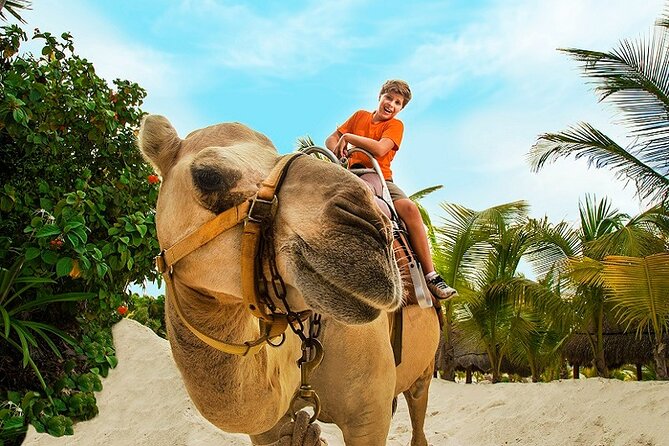 Camel Expedition and Beach Club In Riviera Maya - Group size, language, and family suitability