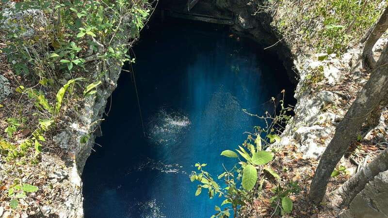 Cancun 2 Cenote Dives: The Pit & Dos Ojos - Certified Divers - Two Cenotes, Two Distinct Underwater Worlds
