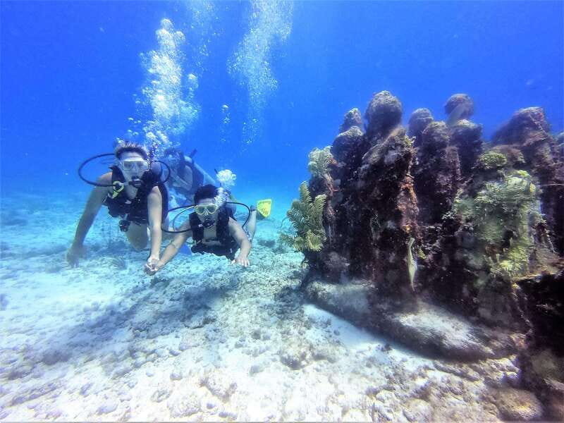 Cancun: 2-Tank Dive for Beginners with MUSA and Reef Dive - The 30-minute boat ride to MUSA