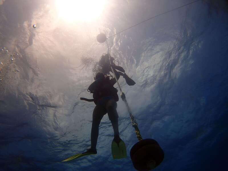 Cancun: 2-Tank Dive for Beginners with MUSA and Reef Dive - Health rules you should take seriously