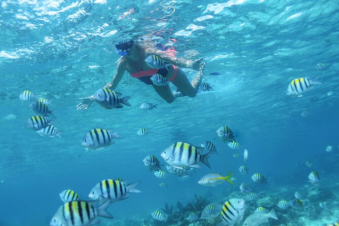 Cancun 4 hour Private Yacht Experience with Lunch and Open Bar Onboard - Is $2,720 good value for your group?