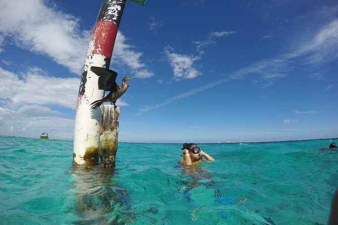 Cancun Adventure: Reef Snorkeling & Parasailing Experience - Starting at Marina Punta Norte