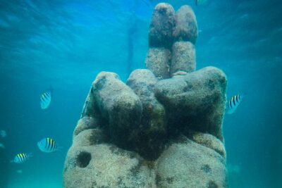 Cancun Adventure: Reef Snorkeling & Parasailing Experience
