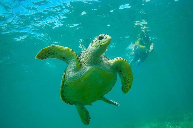 Cancun Adventure: Reef Snorkeling & Parasailing Experience - Weather, safety, and the fine print
