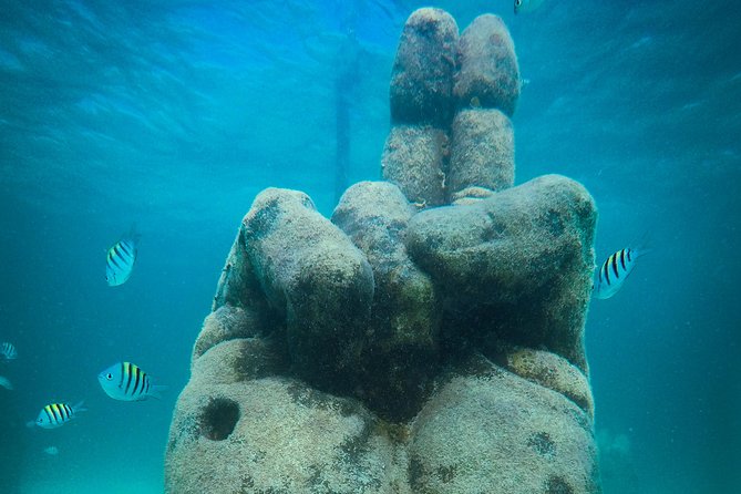 Cancun Adventure: Reef Snorkeling & Parasailing Experience - The snorkeling route: four different underwater stops