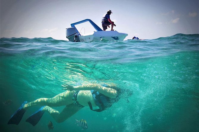 Cancun Adventure Speed Boat Jungle Tour with Transportation - Angel Reef and the 35-minute snorkeling stop