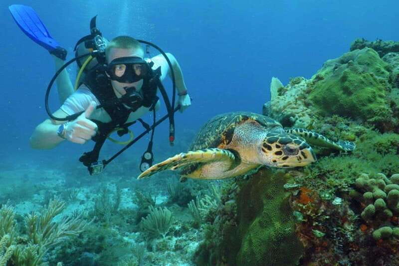 Cancun: Beginner Scuba Diving at Underwater Museum - From pool practice to the Caribbean