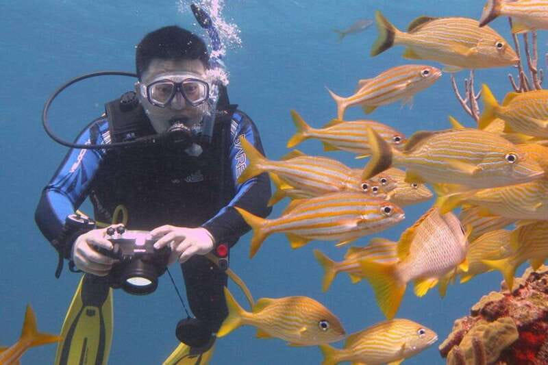 Cancun: Beginner Scuba Diving at Underwater Museum - A short morning with a lot packed in