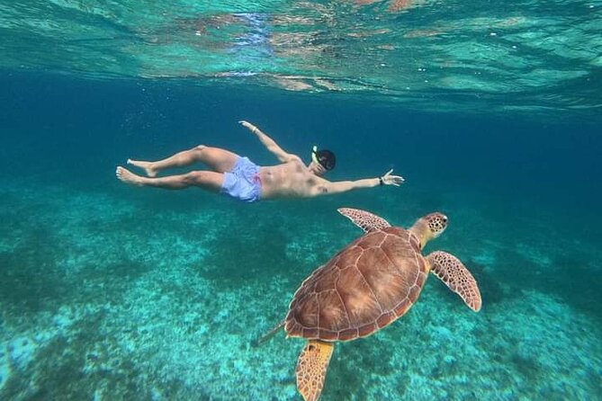 Cancun Catamaran: Sail to Isla Mujeres + Buffet & Drinks - Setting off from Playa Tortugas at noon
