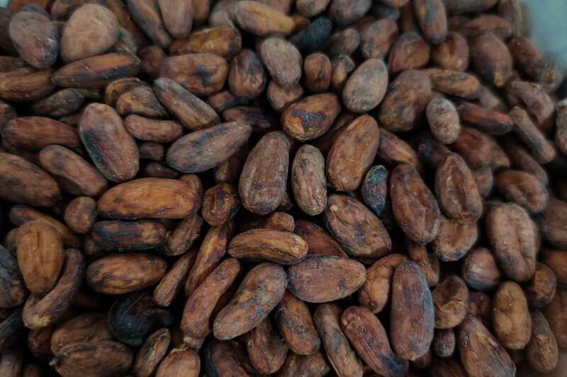 Cancún: Chocolate Making Class and Tasting with Chef - Starting with the Maya and the cocoa bean