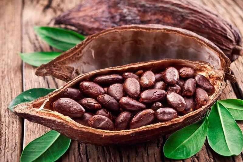 Cancún: Chocolate Making Class and Tasting with Chef - Who will enjoy this chocolate class?