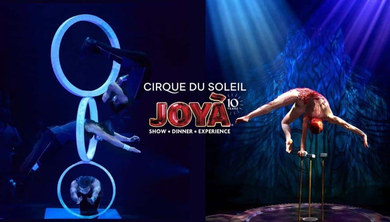 Cancún: Cirque du Soleil JOYÀ Entry Ticket and Transfer - Key points to know before booking