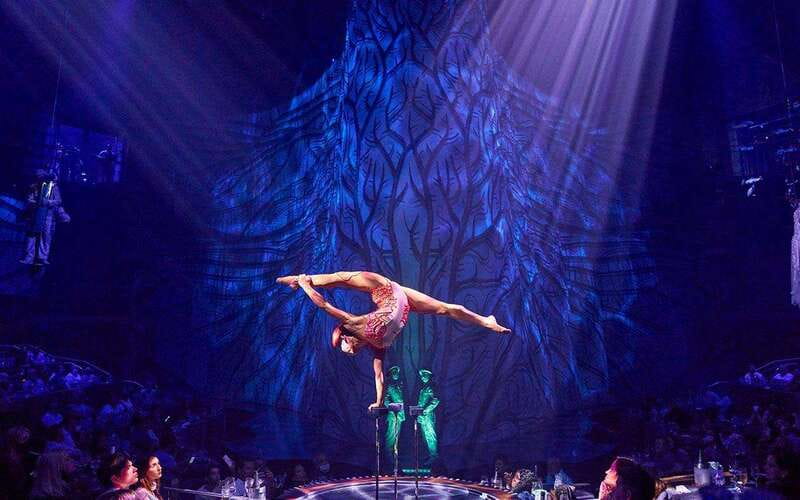 Cancún: Cirque du Soleil JOYÀ Entry Ticket and Transfer - Show-only, dinner, champagne, and photo choices