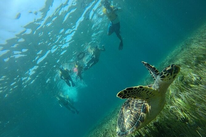 Cancun Combo Adventure: 4 Reef Snorkeling Stops & Parasailing - My call: book it for variety, skip it for a slow day