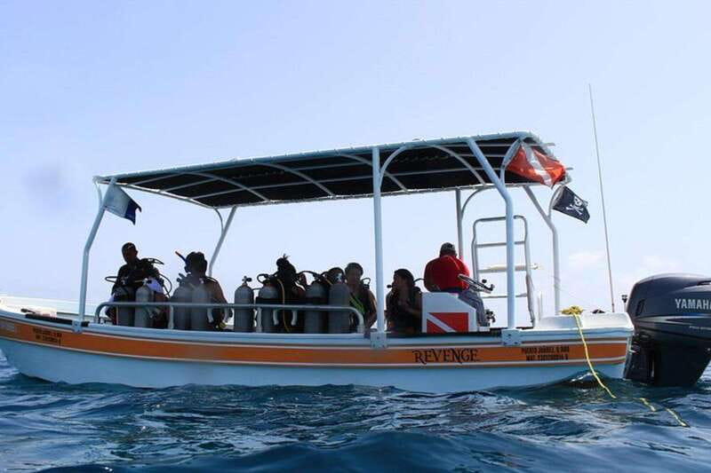 Cancun: Dive Underwater Museum & Manchones Reef - Who will enjoy this Cancun outing