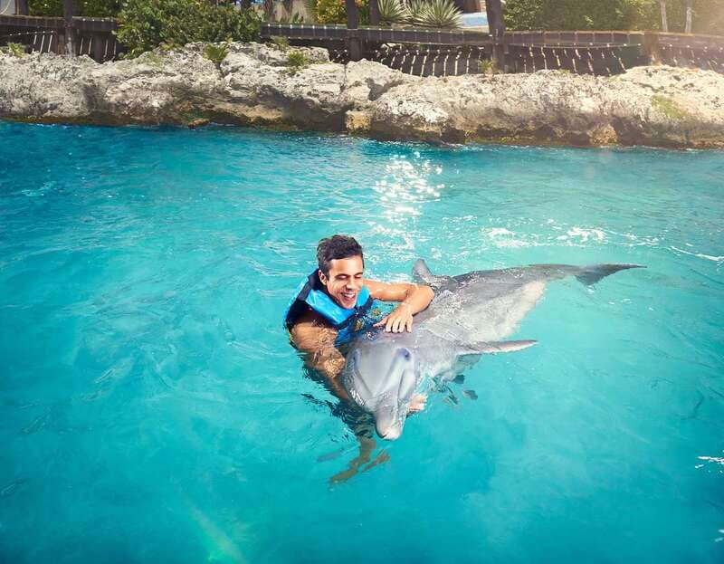Cancún: Dolphin Encounter on Isla Mujeres with Buffet - Meeting your dolphin at the underwater platform