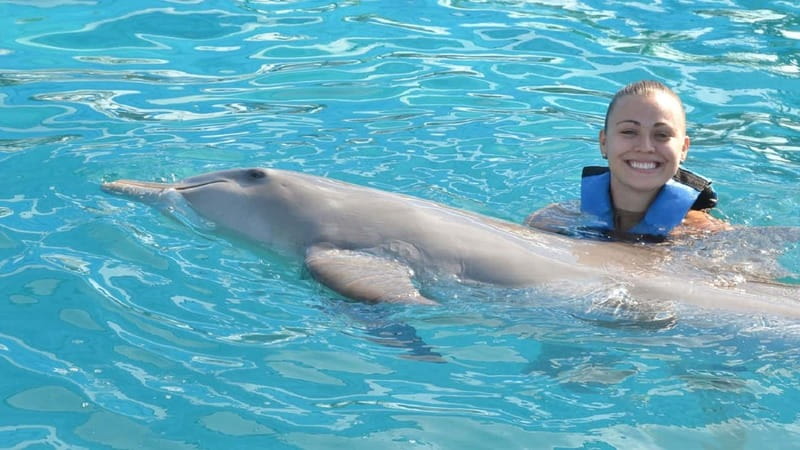 Cancún: Dolphin Encounter on Isla Mujeres with Buffet - The ferry from Playa Langosta to Isla Mujeres