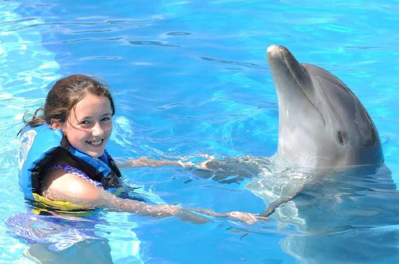 Cancún: Dolphin Encounter on Isla Mujeres with Buffet - Lunch, pools, and a slower afternoon