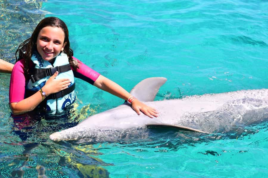 CANCUN: Dolphin Swim Adventure with buffet and soft drinks - Learning dolphin behavior before the contact