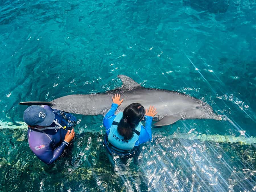 CANCUN: Dolphin Swim Adventure with buffet and soft drinks - Lunch and soft drinks after the water session