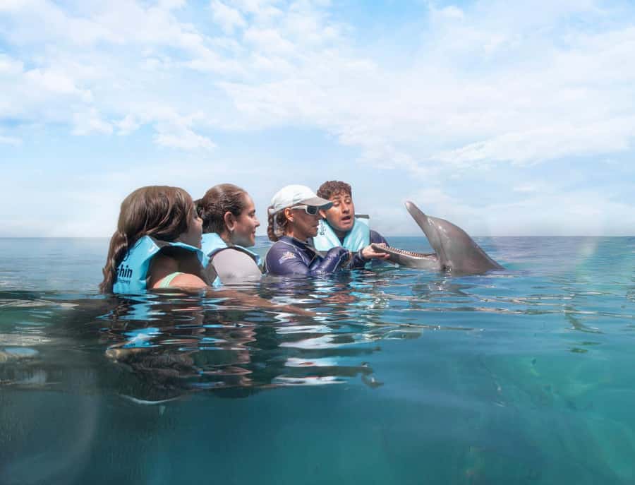 Cancun: Dolphin Swim and Garrafon Reef Park Tour with Buffet - Practical ways to make the day better