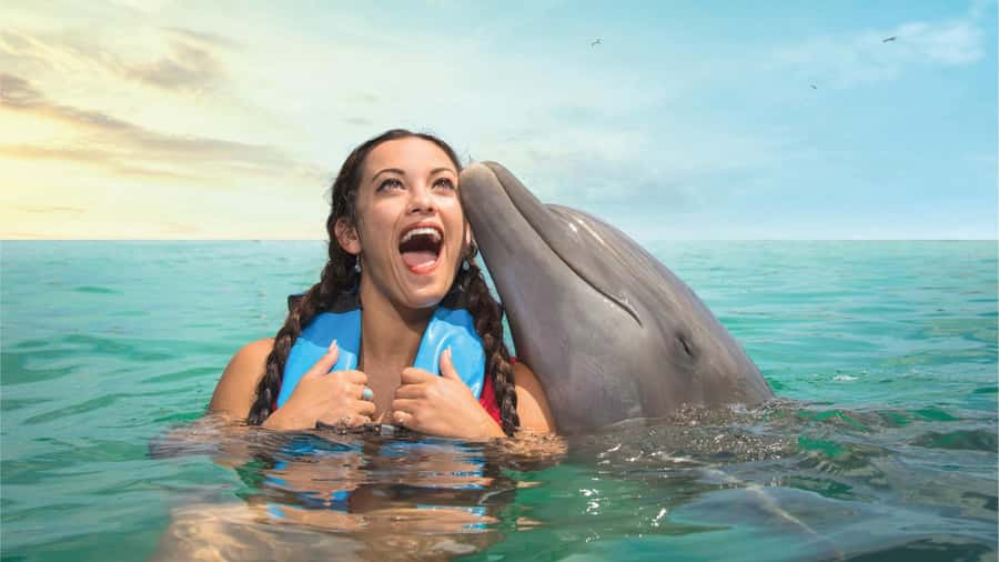 Cancun: Dolphin Swim and Garrafon Reef Park Tour with Buffet - The ferry from Playa Langosta to Isla Mujeres