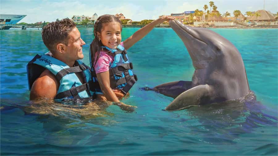 Cancun: Dolphin Swim and Garrafon Reef Park Tour with Buffet - What is available at Dolphin Discovery