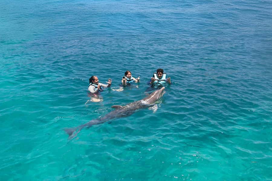 Cancun: Dolphin Swim and Garrafon Reef Park Tour with Buffet - Family rules, height limits, and pregnancy restrictions