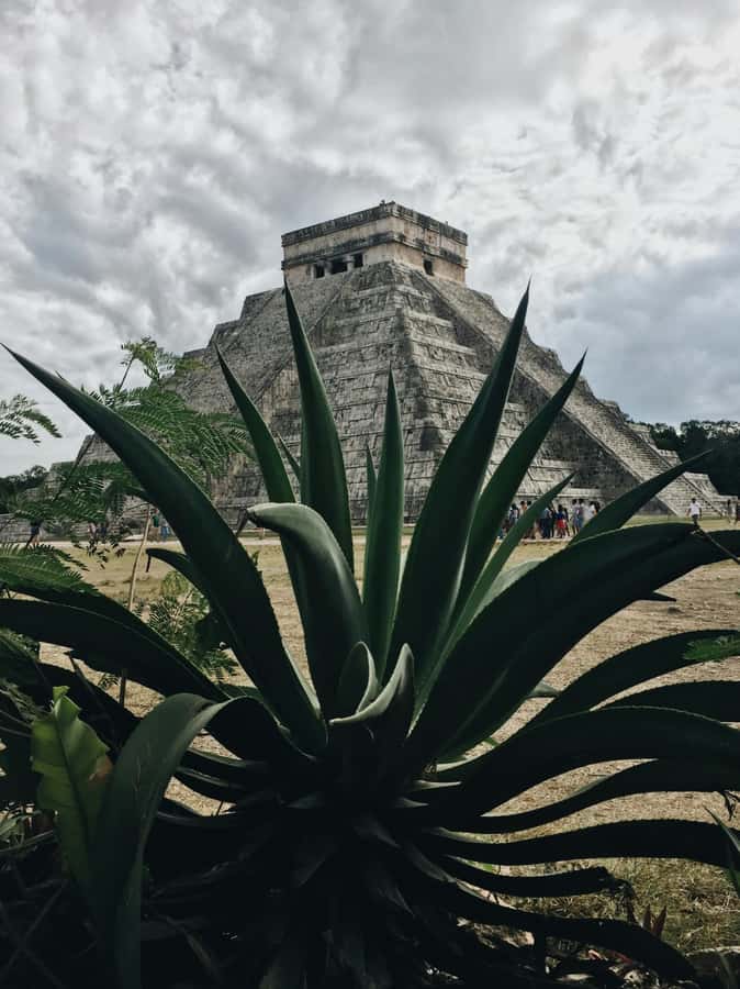 Cancun: Exclusive sunrise at Chichen Itza, expert tour guide - Buffet lunch and regional flavor