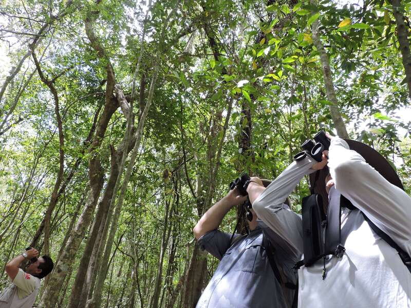 Cancún: Guided Birdwatching Hike - Key points to know before booking