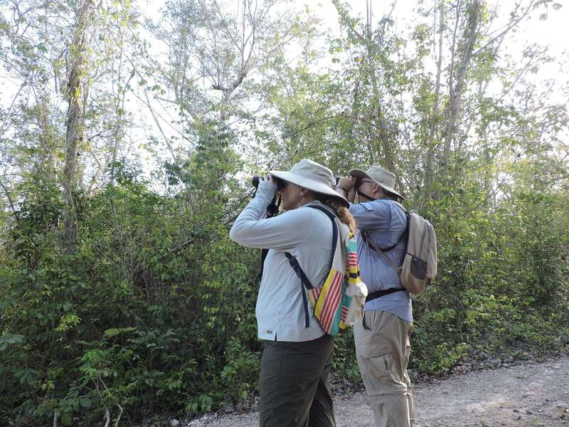 Cancún: Guided Birdwatching Hike - Leaving Cancún for the Ruta de los Cenotes