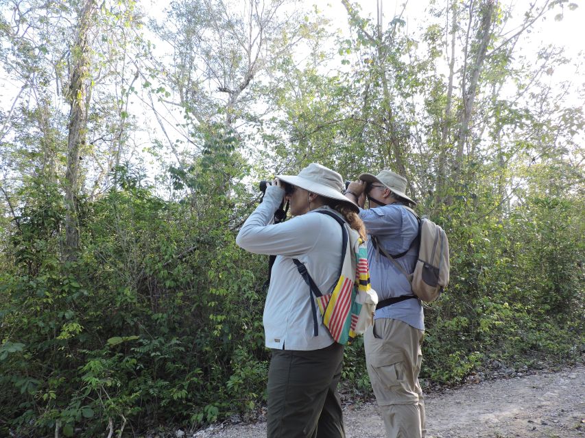 Cancún: Guided Birdwatching Hike - What $169 buys you