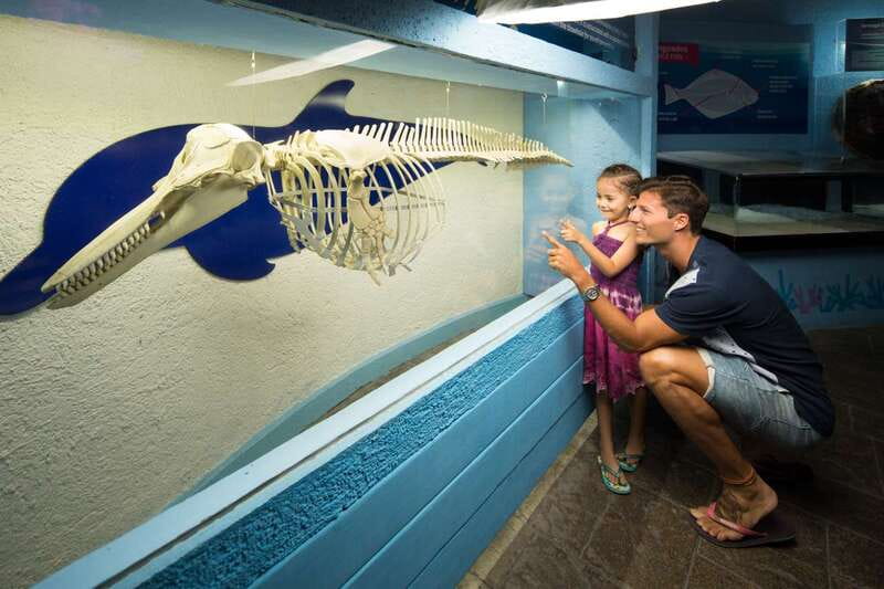 Cancún: Interactive Aquarium Admission - A short visit inside Plaza La Isla