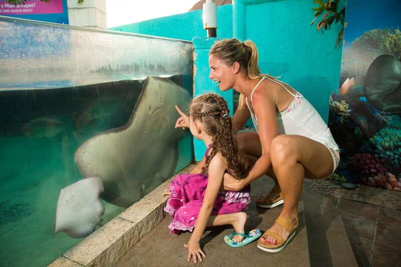 Cancún: Interactive Aquarium Admission - Dolphins, sea lions, and the limits of the basic ticket