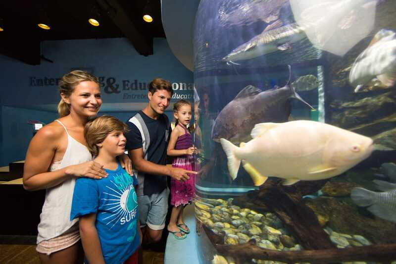 Cancún: Interactive Aquarium Admission - The axolotl exhibit and smaller details