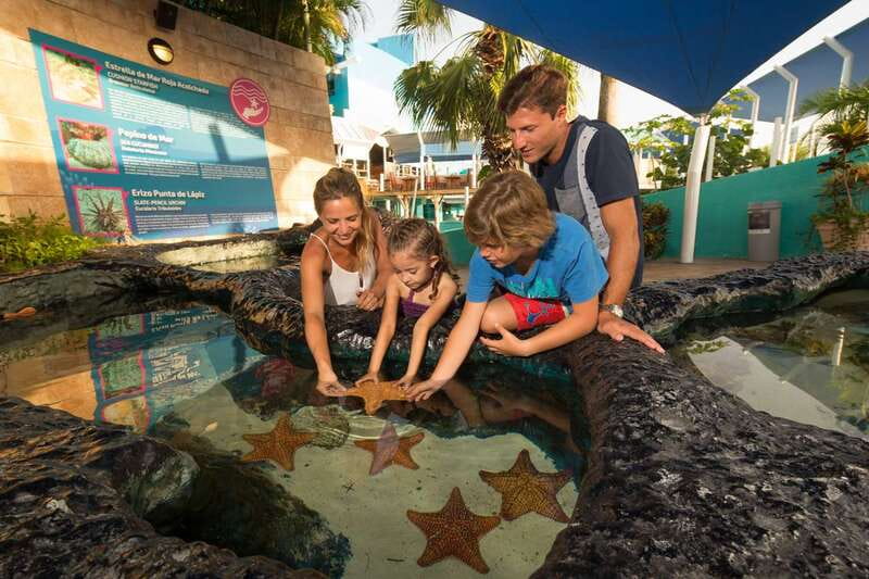 Cancún: Interactive Aquarium Admission - Is $17 good value?