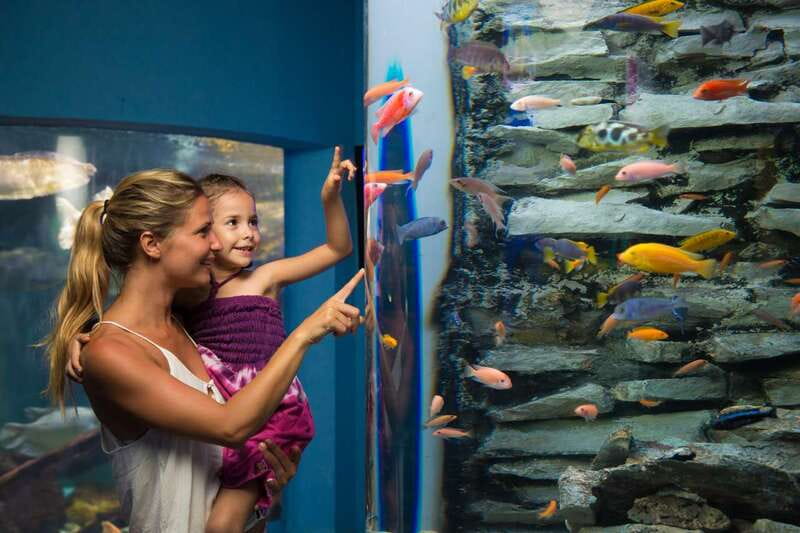 Cancún: Interactive Aquarium Admission - Who will enjoy this aquarium most?