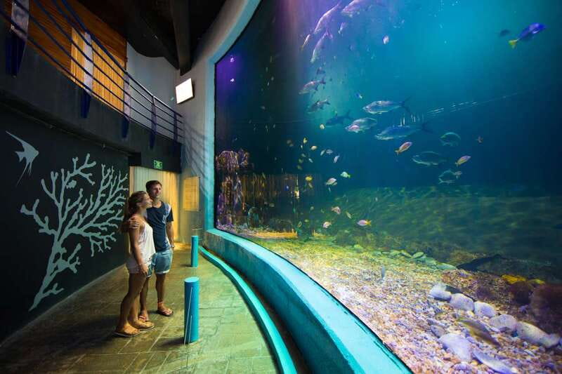 Cancún: Interactive Aquarium Admission - Practical details before you go