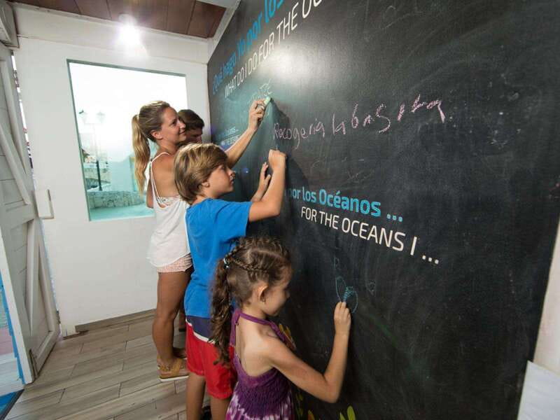 Cancún Interactive Aquarium Admission + Dolphin Presentation - How long should you plan to stay?