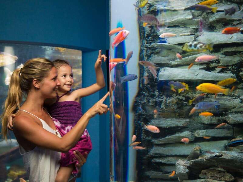 Cancún Interactive Aquarium Admission + Dolphin Presentation - Practical details that affect your day