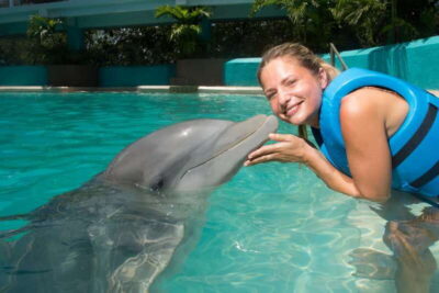 Interactive Aquarium – Swim with Dolphins Splash