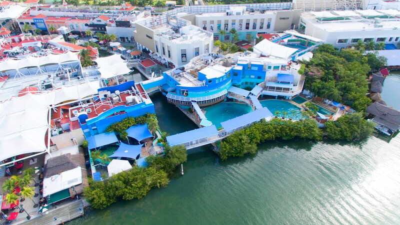 Cancun: Interactive Aquarium - Swim with Dolphins Splash - Is it suitable for children and older adults?