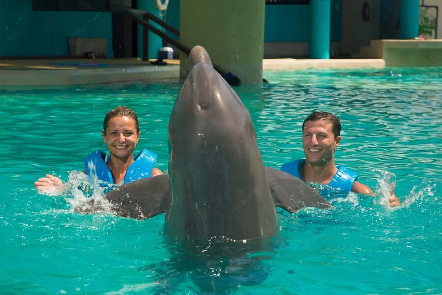 Cancun: Interactive Aquarium Ticket and Swim with Dolphins - Meeting the Dolphins at Plaza La Isla