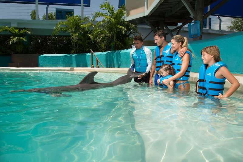 Cancun: Interactive Aquarium Ticket and Swim with Dolphins - Group Size and the Feel of the Session