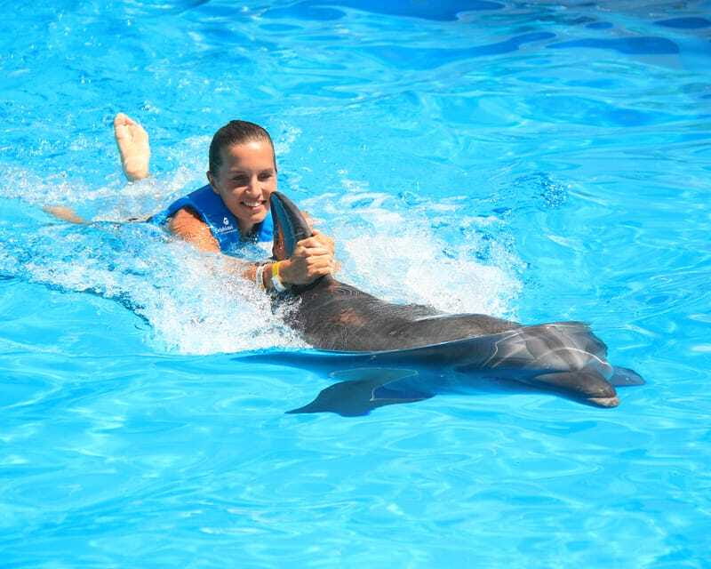 Cancun: Interactive Aquarium Ticket and Swim with Dolphins - What to Bring and What Must Stay Behind