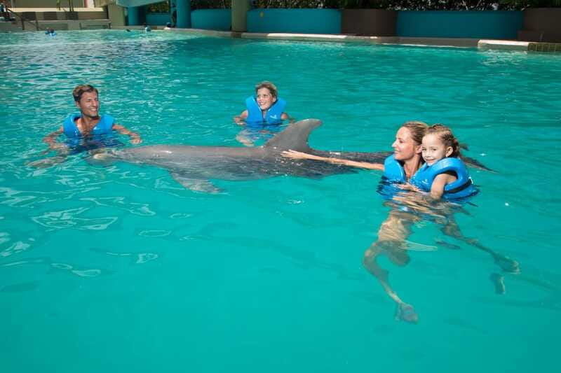 Cancun: Interactive Aquarium Ticket and Swim with Dolphins - Animal Care and the Tone of the Session