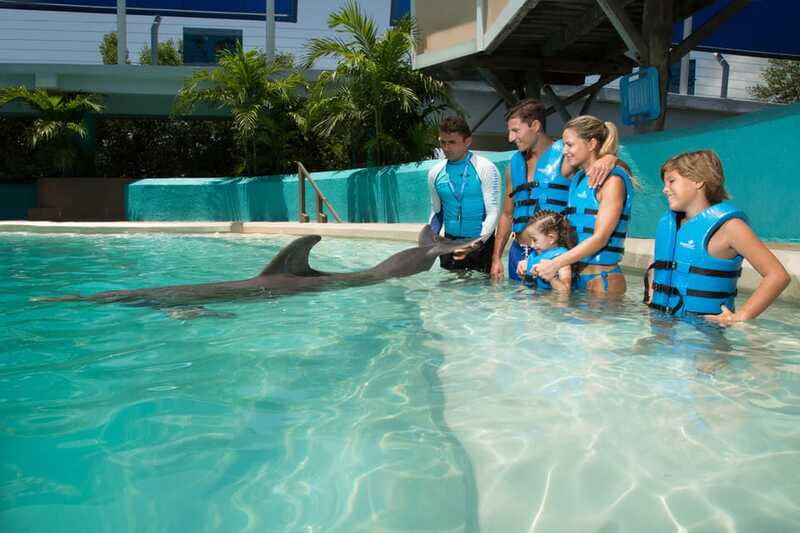 Cancun: Interactive Aquarium Ticket and Swim with Dolphins - Booking Flexibility and Arrival Planning