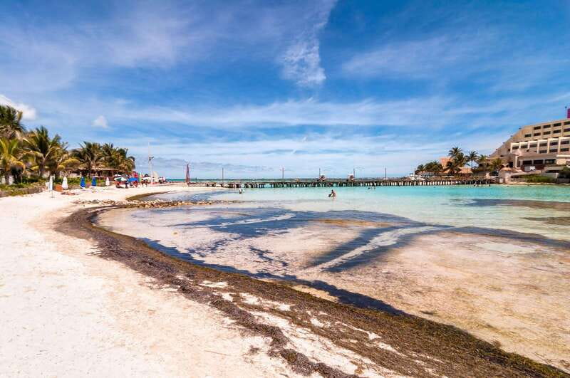 Cancun: Isla Mujeres Catamaran Tour with Open Bar of Drinks - The 30-minute reef snorkeling stop