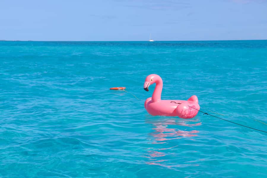 Cancun: Isla Mujeres Full Day Dancer Cruise - The ride back to Cancun becomes the party